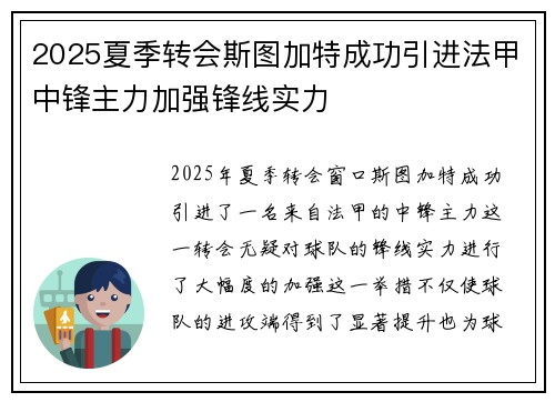 2025夏季转会斯图加特成功引进法甲中锋主力加强锋线实力